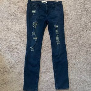 Size 13 junior jean legging -Bullhead black